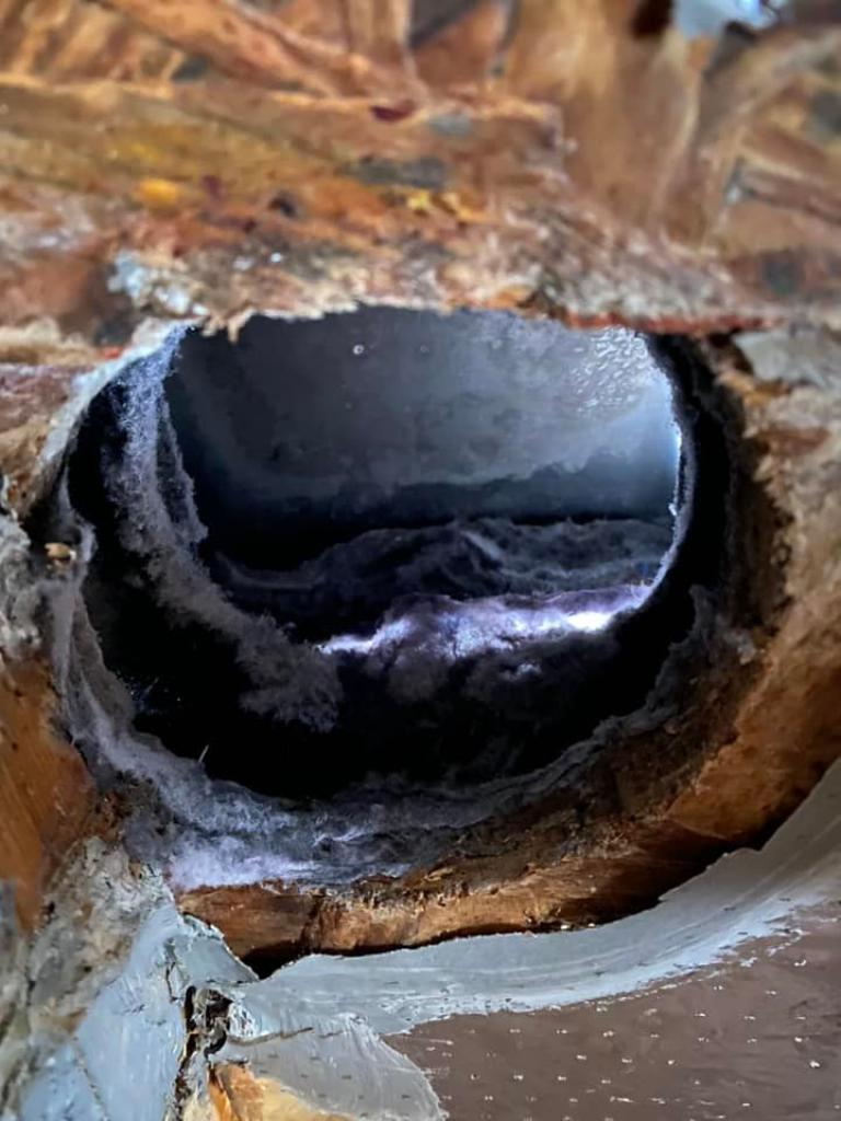 Air Duct & Dryer Vent Cleaning